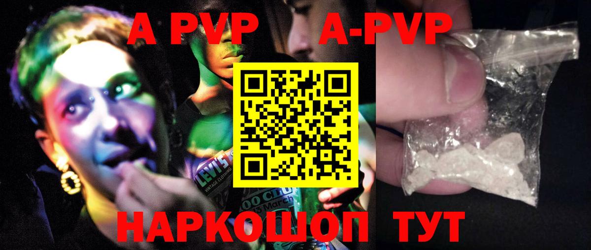 Alfa_PVP СК Коряжма