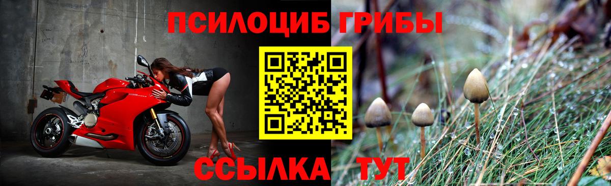 Псилоцибиновые грибы прущие грибы  Вход с VPN  Коряжма 